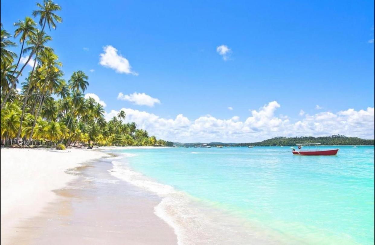 Carneiros Beach Resort - Flat Tamandare Ngoại thất bức ảnh